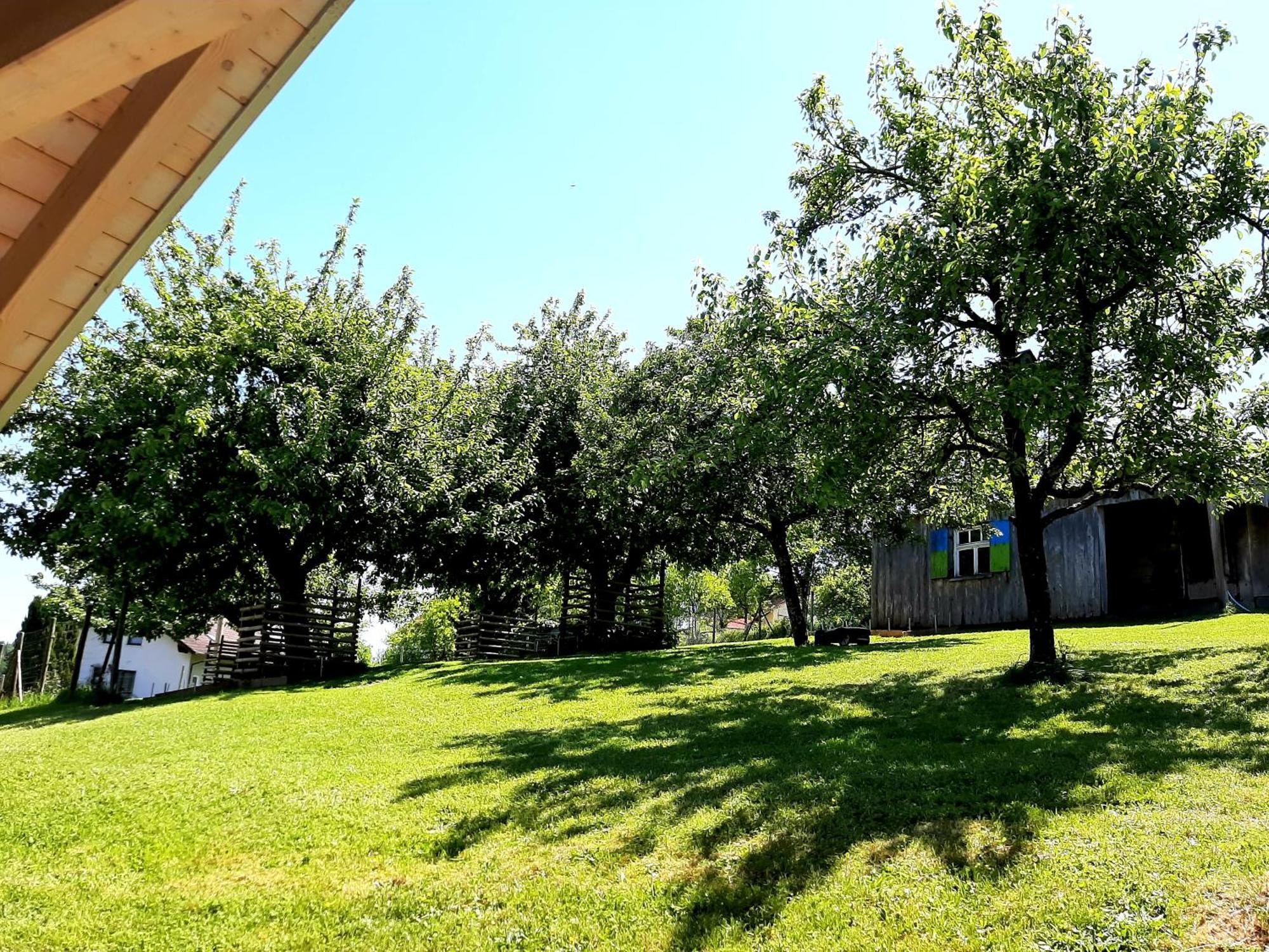 Bergele Appartement *